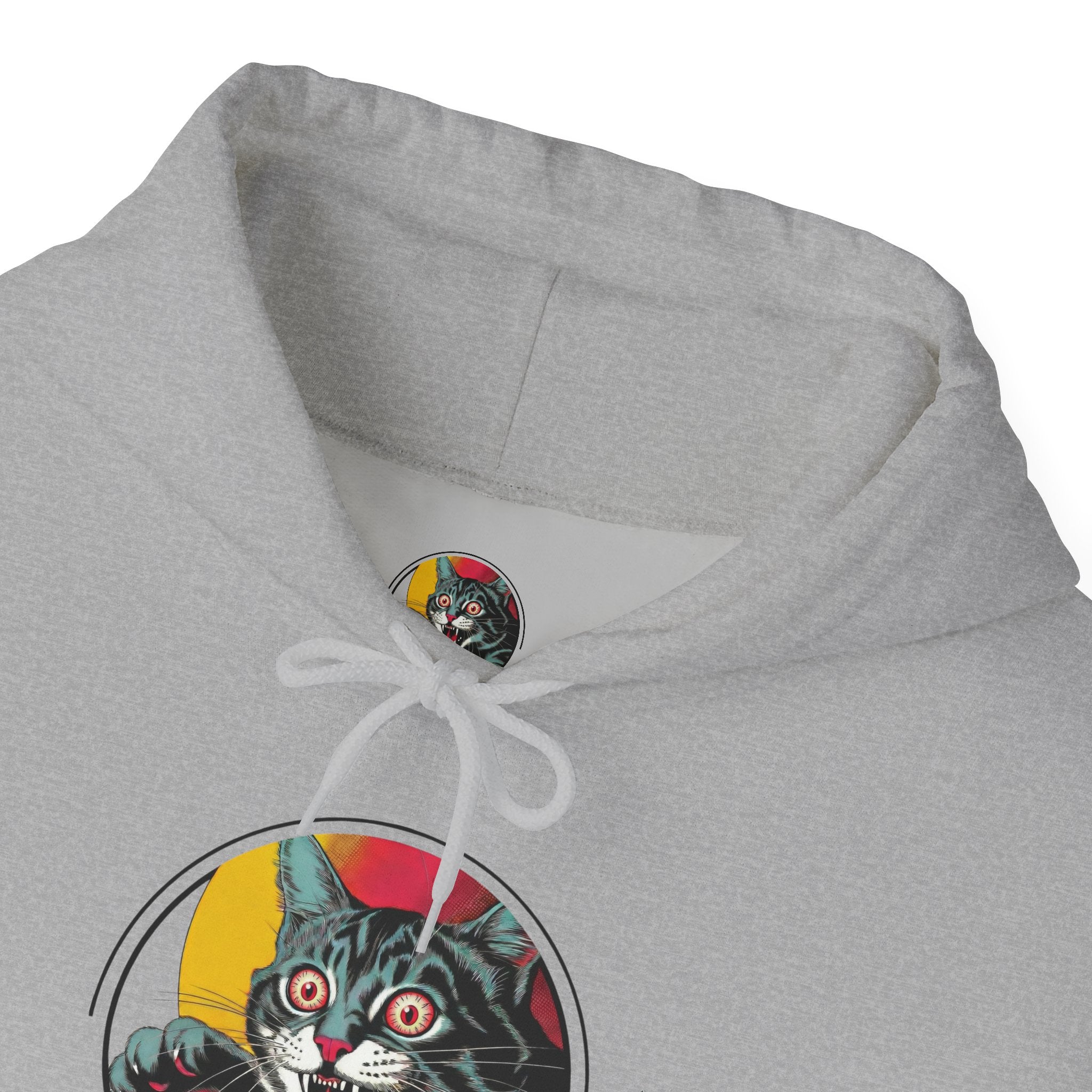 Cat Lover Hoodie — "Don't Touch My Cat" Vintage Graphic Pullover