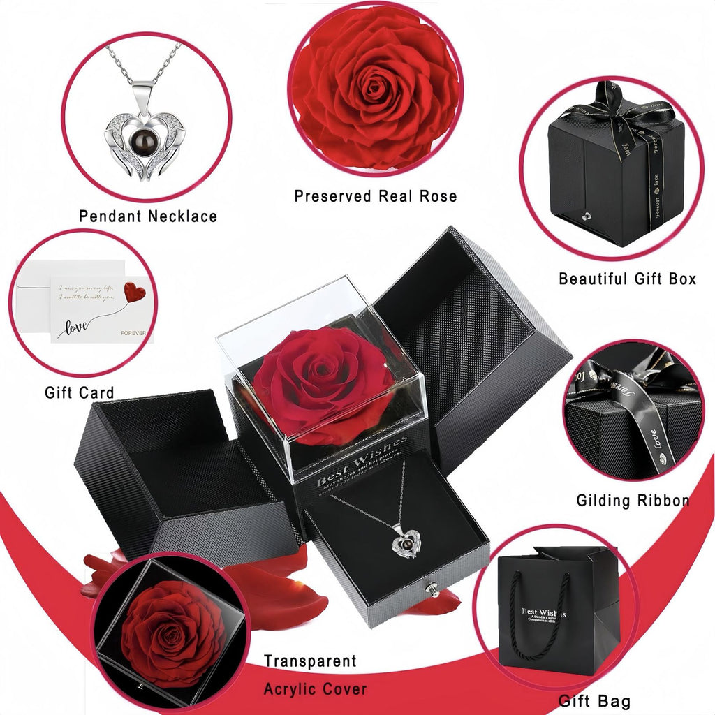 Multilingual I Love You Projection Necklace with Heart Wings